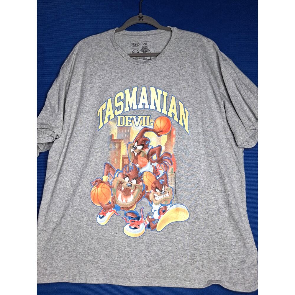Looney Tunes Men's Multi Grey T-shirt 2X